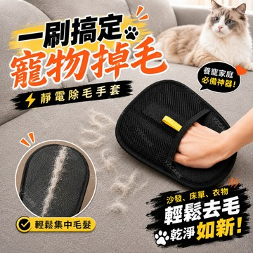 寵物除毛手套 靜電雙面去毛刷 雙向聚毛 可重複使用 沙發床單衣物寵物窩清潔 寵物浮毛整理 居家清潔用品 台灣現貨