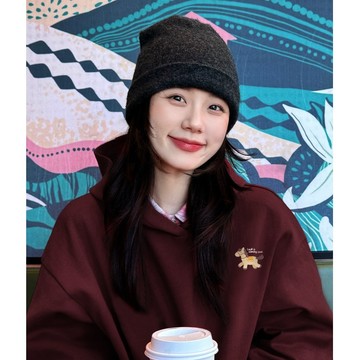 卡通印花顯瘦 小個子 女生上衣 連帽衛衣女 韓系 抗皺  銀狐絨帽T 连帽重磅帽T 美式学生帽T 刷毛帽T 多色大尺碼