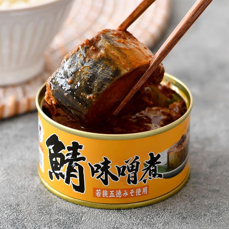 鯖缶 ６缶詰め合わせセット（Ｄ） 缶詰 高級 ギフト おすすめ サバ缶 おつまみ ノルウェー産 福井缶詰