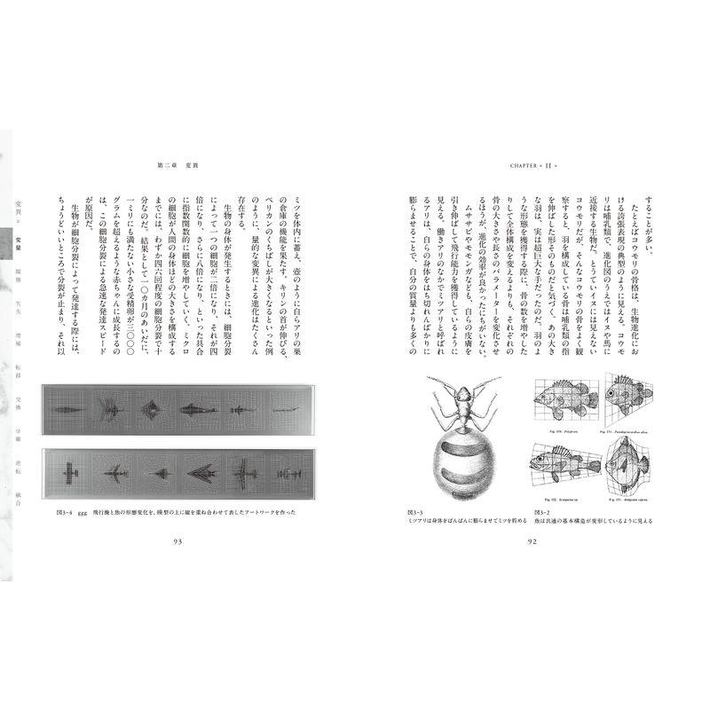 進化思考 生き残るコンセプトをつくる 変異と適応