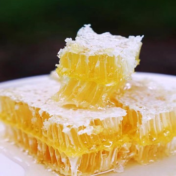 🎈【新鮮熱銷】蜂蜜 純蜂蜜 純蜜 野生蜂巢蜜嚼著吃百花蜂蜜純正天然純蜂蜜蜂窩懸崖蜜
