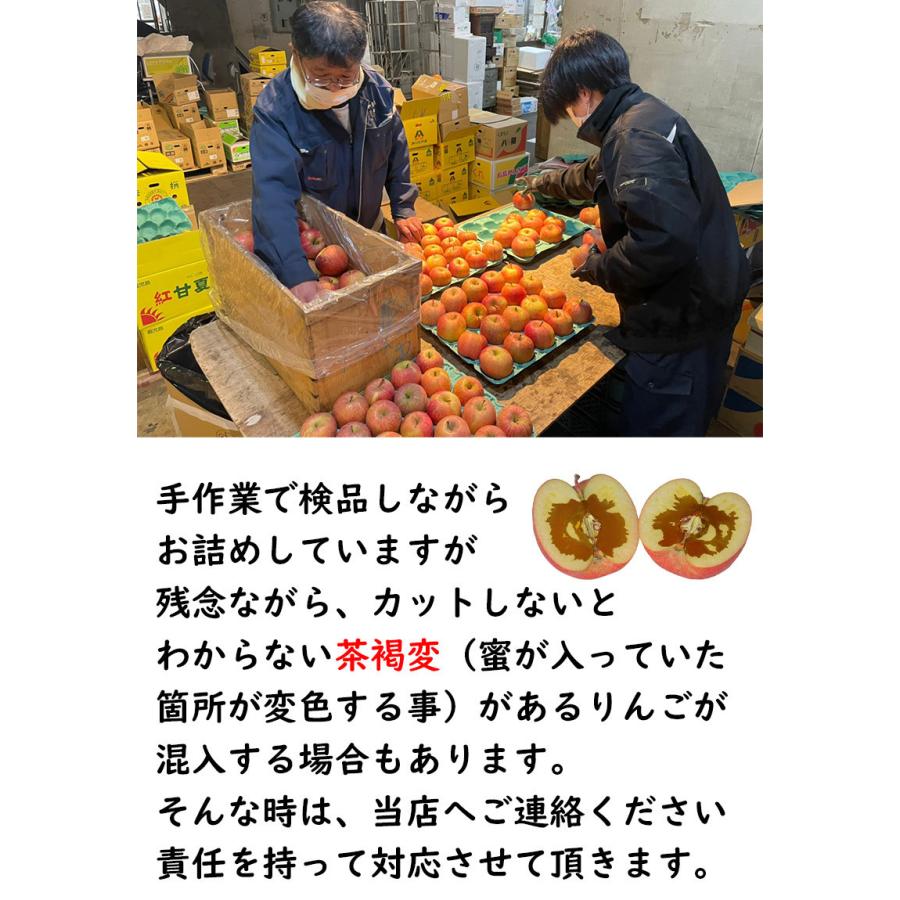 りんご サンふじ 訳あり 12玉入 お試し 送料無料 りんご 青森 サンふじ りんご 12玉入 ご家庭用 糖度保証 予約 11月上旬頃発送