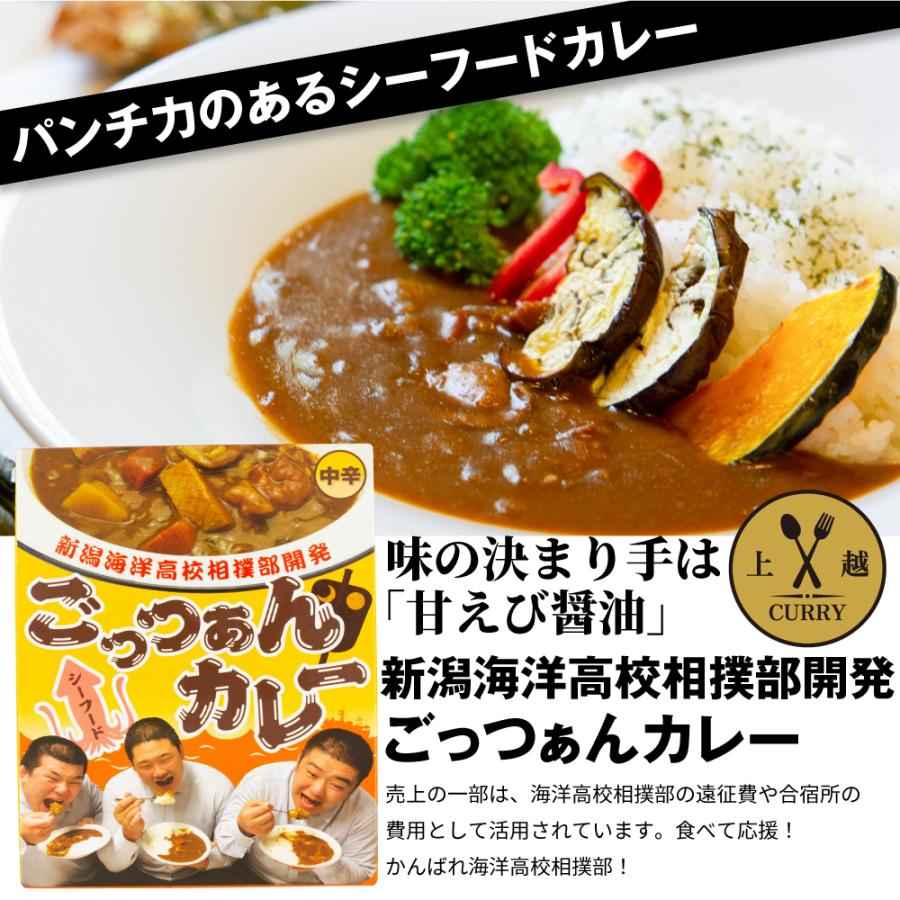 [新潟県上越市]ご当地カレー 選べる！食べ比べセット（2食入り）