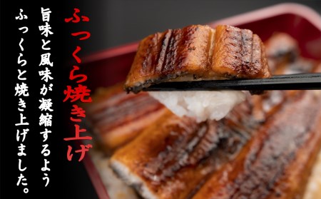 厳選!!高知県産うなぎの蒲焼き(1尾) 3回定期便