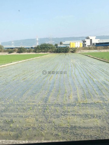 路竹區下坑段農保農作小農地｜高雄市路竹區下坑段