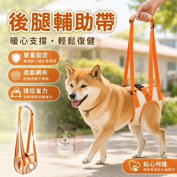 🐶後腿輔助帶｜術後復健/關節無力/老犬扶行｜加厚手把可調長度｜牛津布＋網布 老犬復健後腿提帶 大型/中小型犬適用