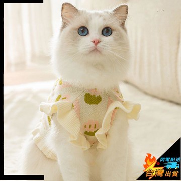 【台灣出貨】寵物衣服 貓咪背心 可愛貓咪 提花木耳邊 飛袖毛衣 冬季衣服 防掉毛 貓貓咪衣服 寵物保暖背心