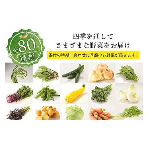 ふるさと納税 宮崎県 綾町 本日のお野菜セット(Sサイズ)（53-36）