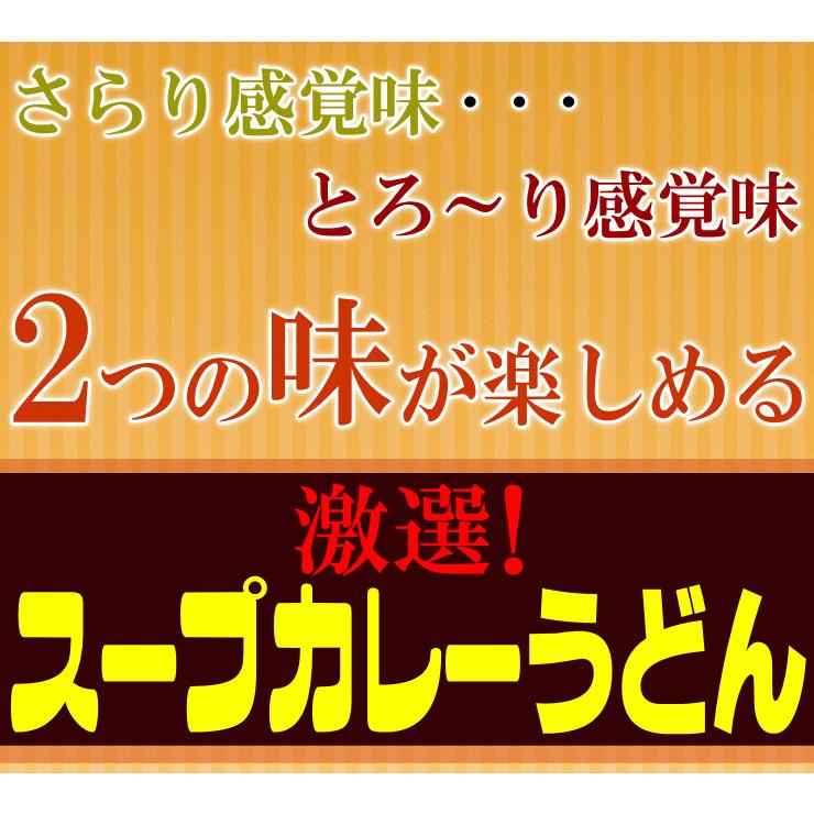 送料無料 うどん 激選スープカレーうどん10人前セット