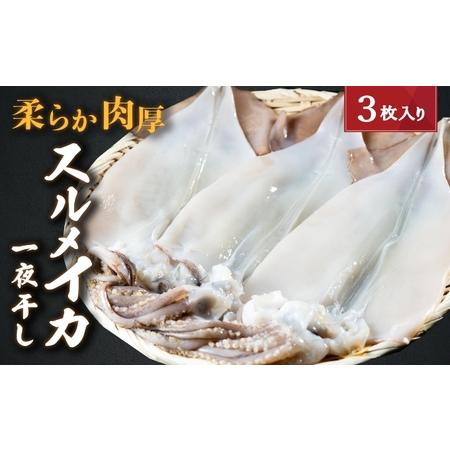 ふるさと納税 柔らか肉厚の スルメイカ 一夜干し 3枚[ 国産 干物 肴 つまみ イカ 人気返礼品 京都府宮津市