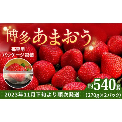 ふるさと納税 福岡県 那珂川市 農家直送 朝採り新鮮いちご約270g×2パック＜株式会社HFutures＞那珂川市 [GDS0…