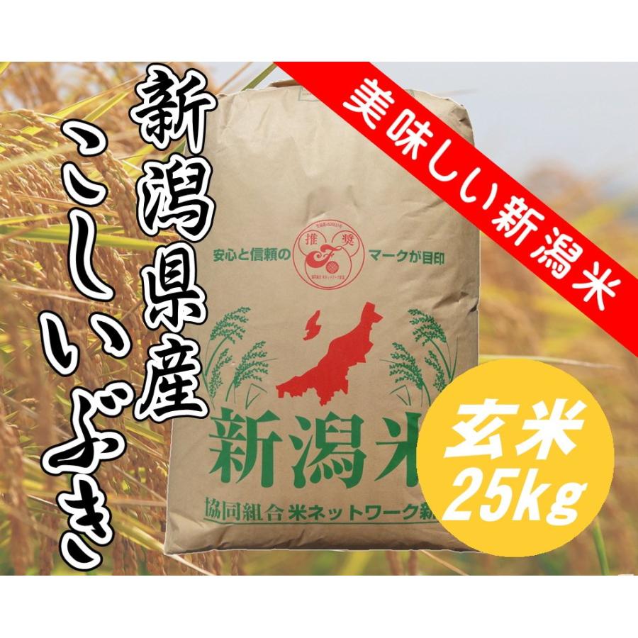 お米　新潟県産 こしいぶき　玄米25kg色彩選別済み　精米5kg×4　令和5年産　コシヒカリ系統