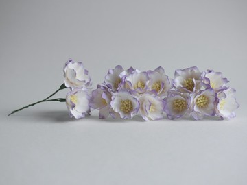 紙花 DIY 手工材料 25 朵蓮花 紫色刷白。