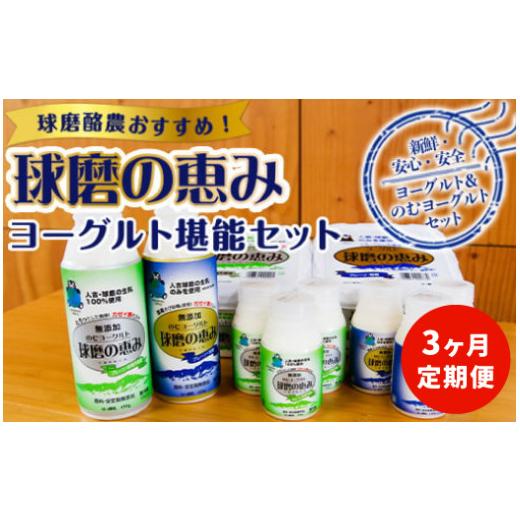 ふるさと納税 熊本県 湯前町 球磨の恵みヨーグルト堪能セット