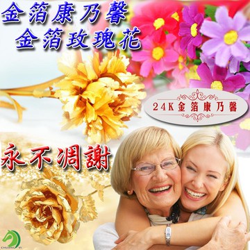 母親節禮物 附檢驗卡🐴台灣快速出貨🐴正品24K純金箔康乃馨 附精美手提袋 謝師禮送禮 純金康乃馨
