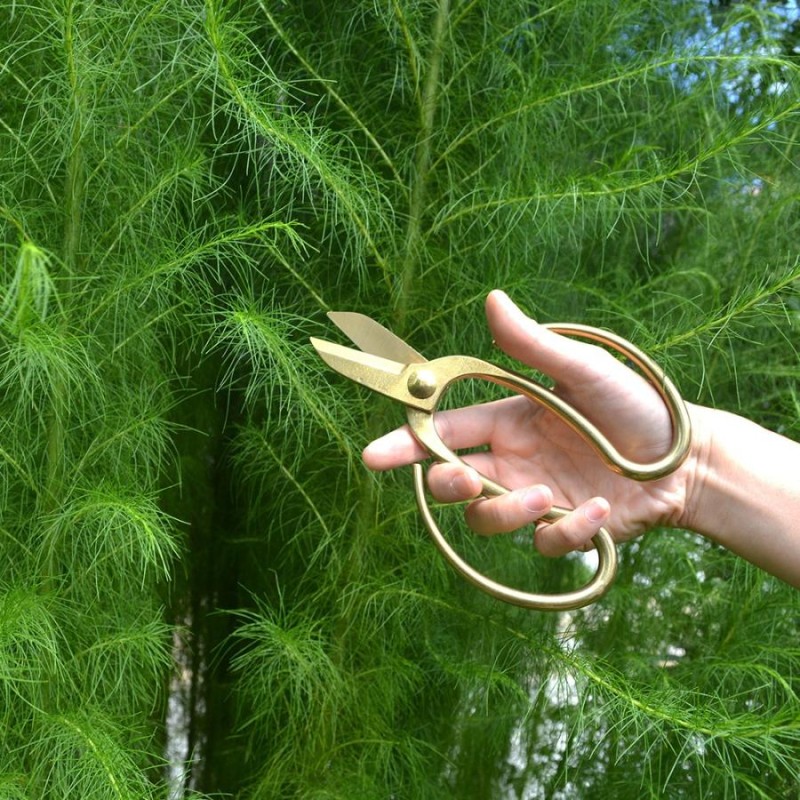 BONSAI SCISSORS ハサミ DULTON はさみ 剪定 道具 アンティーク かっこいい 盆栽 ボンサイシザーズ ダルトン 植木 庭木 庭  園芸 ガーデニング ギフト | LINEブランドカタログ