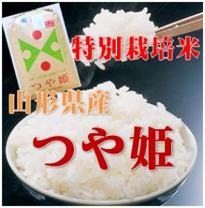  産地生産者限定 令和５年産 山形県産特別栽培 つや姫 精米 約２６kg