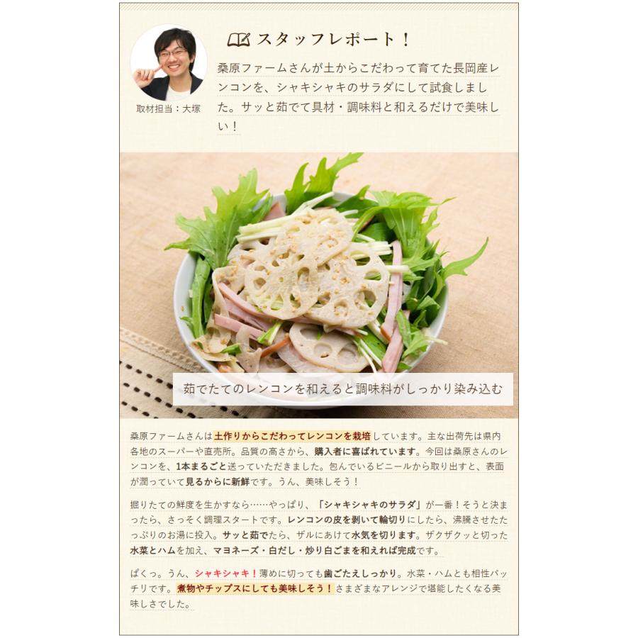 新潟 長岡産レンコン 2kg 蓮根 れんこん 桑原ファーム 送料無料