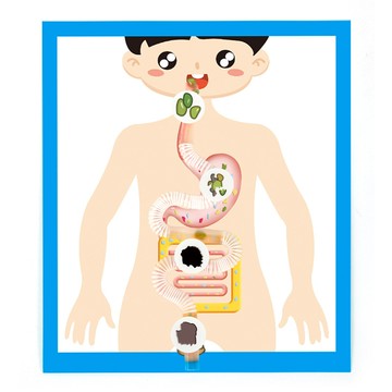 「雙優教具」科學實驗diy食物的旅行人體消化系統模型科技小製作兒童手工套裝