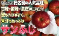 1月発送贈答用 葉取らず サンふじ 約5kg 