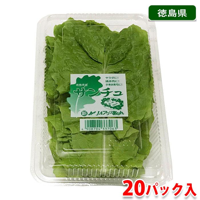 徳島県産 サンチュ 秀品 20パック入り（1パック10枚入り）／箱