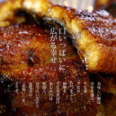 ふるさと納税 西尾市 三河産うなぎ「超特大蒲焼き2尾」×6回(隔月1回　1年間)・A133-102