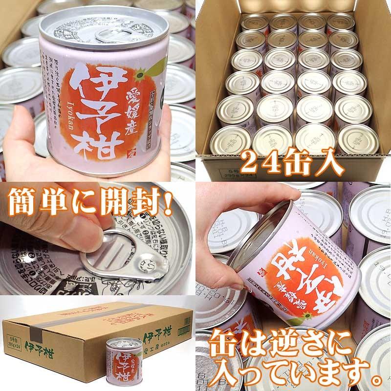 愛媛県産いよかん缶詰２４缶入（愛工房）