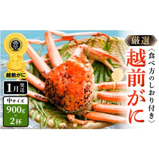 ふるさと納税 福井県 越前町 越前がに本場の越前町からお届け！≪浜茹で≫越前がに 中サイズ（生で900g以上）× 2杯 合計1.8Kg以上 食べ方しおり付【かに カニ…