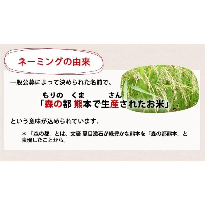 米 送料無料 森のくまさん 令和5年産 熊本県産 玄米30kg