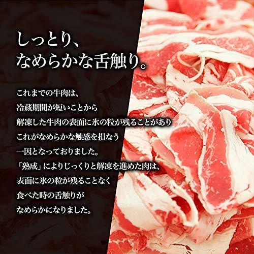 吉野家 牛丼 冷凍 ミニ牛丼の具   80g×20袋セット どんぶり (レンジ・湯せん調理OK)