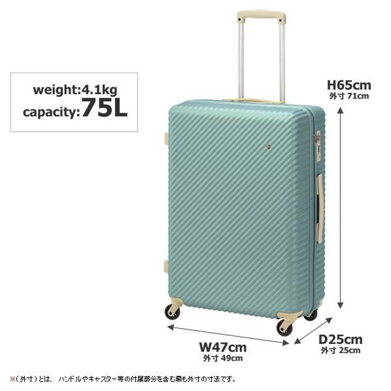 ハンドパン 45cm 6音 ケース付 スイスA3 C4 D4 E4 F4 G4） ハンドパン