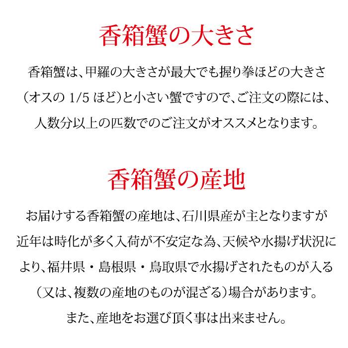 蟹漁解禁！香箱蟹 せいこ かなり大きめ 180〜200g ×1匹 浜茹で 産地直送 お取寄せ 5匹以上のご注文で送料無料