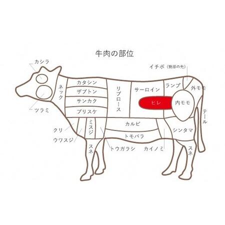 ふるさと納税 鳥取和牛　ヒレステーキ6回定期便お肉 肉 牛肉 和牛 鳥取和牛 牛肉 肉 国産 お肉 冷凍ヒレ ステーキ 牛肉 ヒレ 定期便 牛肉 定期便.. 鳥取県倉吉市