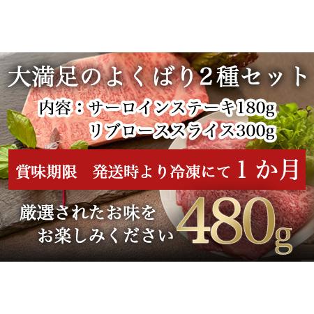 ふるさと納税 厳選佐賀牛 サーロインステーキ180g リブローススライス300g 2種(合計480g)セット 「2023年 令和5年」 佐賀県唐津市