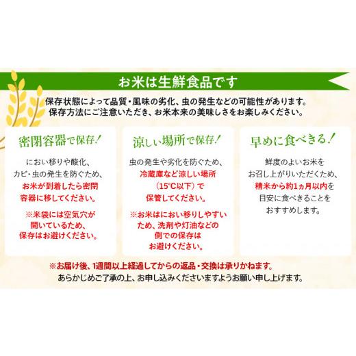 ふるさと納税 宮崎県 宮崎市 《毎月発送》定期便 宮崎産コシヒカリ10kg(5kg×2袋) ×3回 計30kg お届け月が選べます_M181-T008