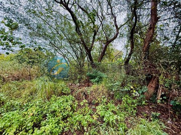 獨家-上湖五路稀有超值方正美建地｜桃園市楊梅區四湖段