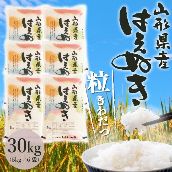 選べる精米方法 ＜白米はたは無洗米＞ 令和5年産 はえぬき30kg（5kg×6袋）山形県 最上地域産 《 送料無料 》