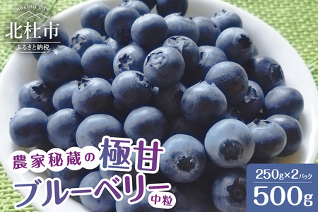 7月～9月発送！農家秘蔵の極甘ブルーベリー　中粒500g（250g×2パック）