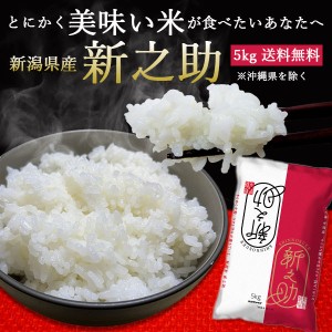 新潟産新之助 5kg ｜ お米 5kg 送料無料 しんのすけ 新潟 ブランド米 ギフト 内祝い お返し お祝い 贈答品 贈り物 プ