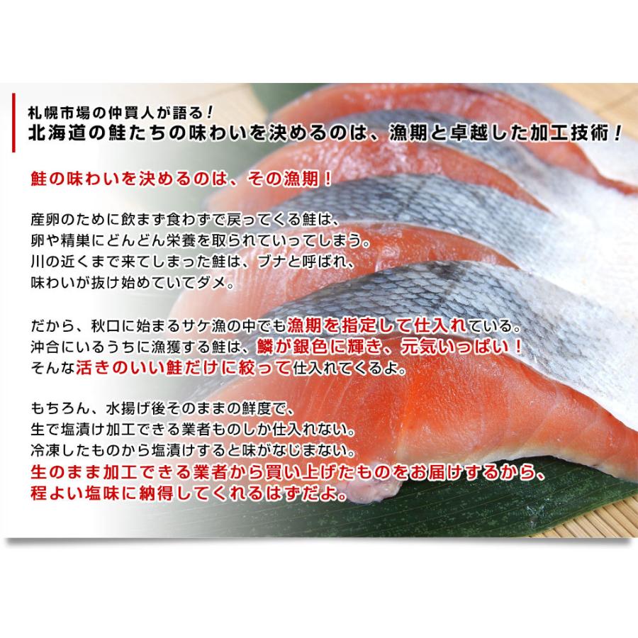 北海道より直送　新巻鮭 姿切り身 大型の鮭 まるごと1尾分 約2.5キロ 送料無料　北海道サケ シャケ 秋鮭  新巻き鮭