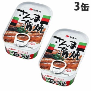 さんま 蒲焼 アルミ 100g×3缶