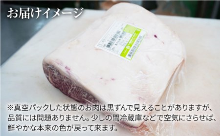 長崎和牛 サーロインブロック 計24kg＜大西海ファーム＞[CEK116]