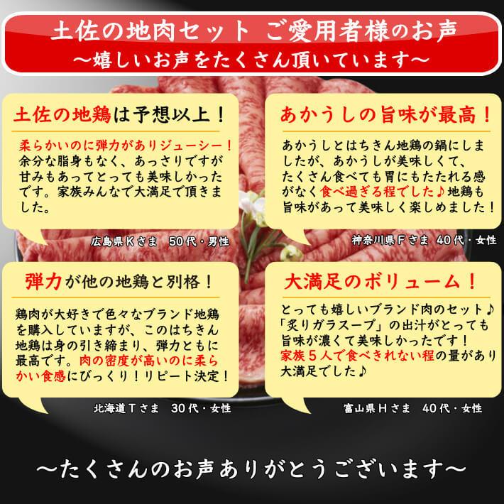 土佐あかうし はちきん地鶏 すき焼き＆お鍋セット 約1,6kg 和牛 地鶏