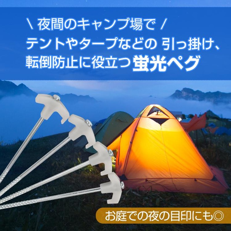 ★30cm 10本セット★スチールペグ  ペグ キャンプ テント風対策