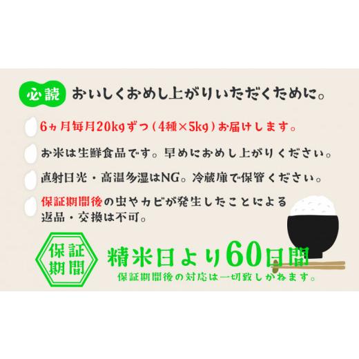 ふるさと納税 茨城県 境町 K1959 ＜2024年08月下旬初回発送＞ 定期便 1000セット 限定 お米 4種 食べくらべ 20kg 茨城県産