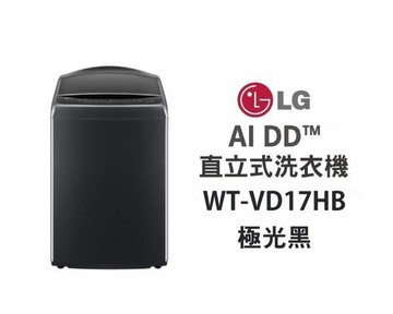 【LG 樂金】AI DD™智慧直驅變頻洗衣機｜17公斤｜(極光黑)WT-VD17HB