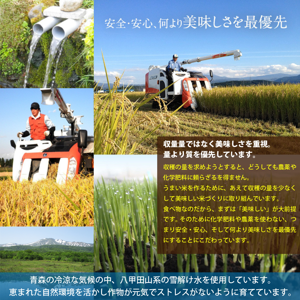 青森県産 国産リゾット米 10kg×1袋 山田ふぁーむ 一部地域追加送料あり