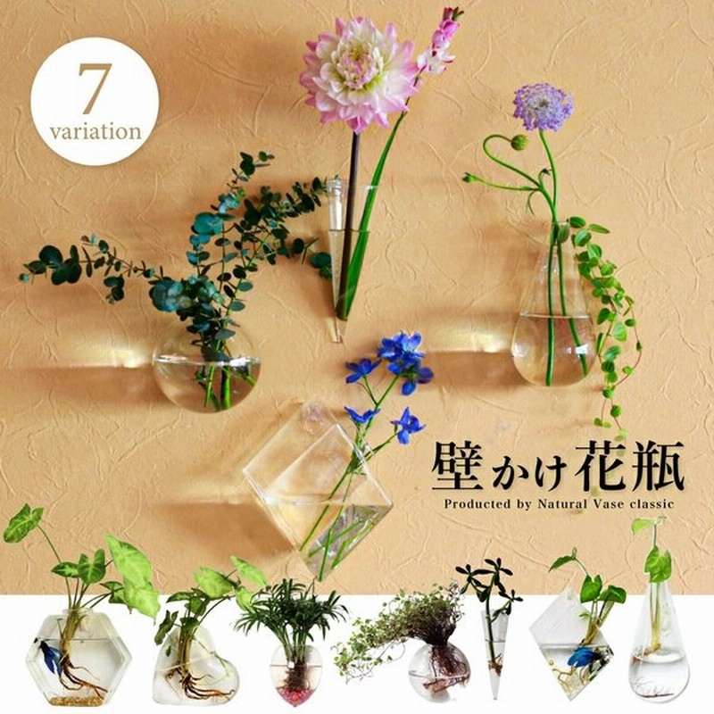 花瓶 フラワーベース 壁掛け 一輪挿し ガラス おしゃれ 花器 フラワーポット 花びん 水耕栽培 コンパクト ミニサイズ 小さい 通販 Lineポイント最大0 5 Get Lineショッピング