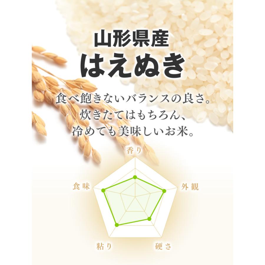 無洗米 米 お米 令和5年産 山形県産 はえぬき 10kg 無洗米（5kg×2袋）rhm1005