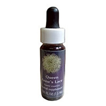 Queen Annes Lace Dropper 0.25 oz by Flower Essence Services